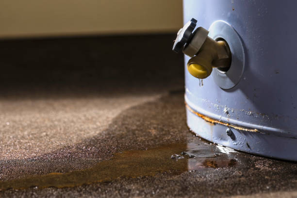 Water damage restoration insurance claims in DE