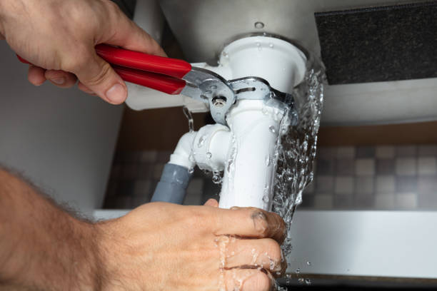 Best Flood damage cleanup  in Bridgeville, DE