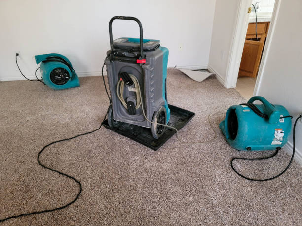 Best Water damage cleanup near me  in Bridgeville, DE