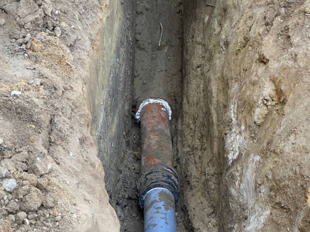 Best Flood restoration services  in Bridgeville, DE