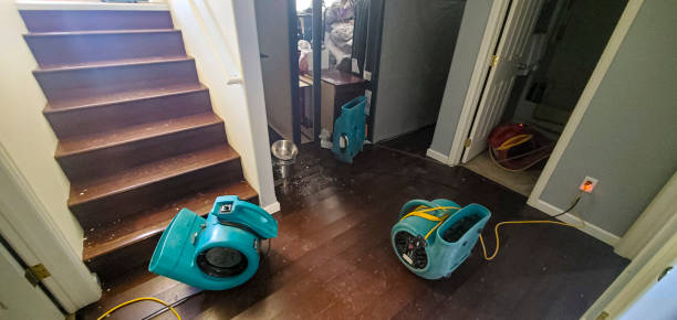 Best Carpet water damage restoration  in Bridgeville, DE