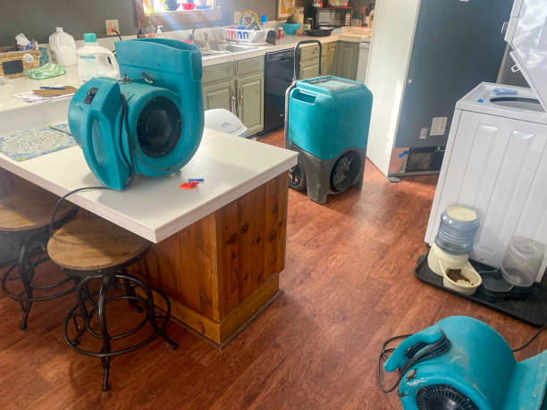 Best Local water damage restoration  in Bridgeville, DE