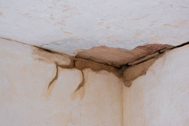 Best Water damage restoration mold remediation  in Bridgeville, DE