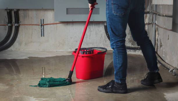 Best Water damage contractors near me  in Bridgeville, DE