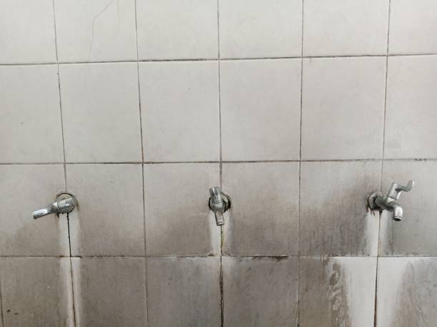 Best Water damage restoration cost  in Bridgeville, DE