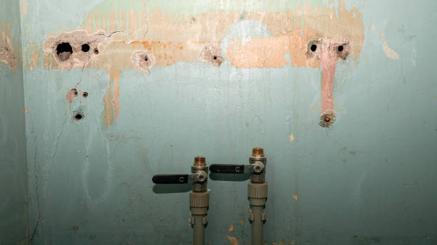 Best Water damage restoration near me  in Bridgeville, DE