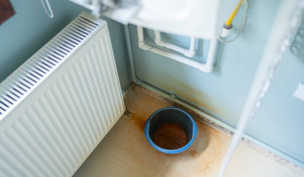 Best Carpet water damage restoration  in Bridgeville, DE