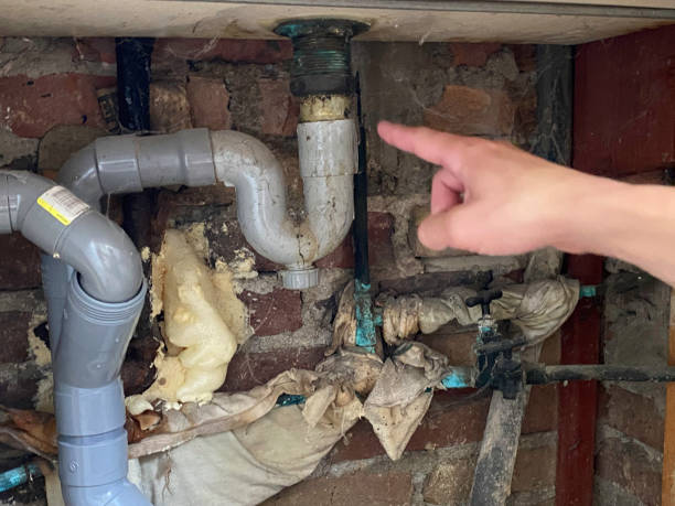  Bridgeville, DE Water damage restoration Pros