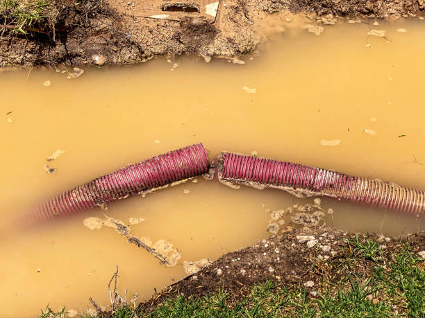 Best Residential water damage restoration  in Bridgeville, DE